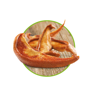 Armut 